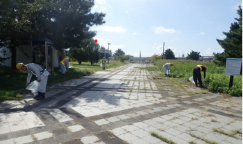 道路脇の草地のごみを拾う写真1