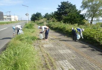 道路脇の草地のごみを拾う写真2