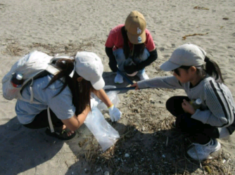 海岸のごみを拾う写真