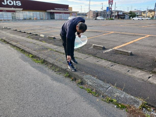 道路脇の草地のごみを拾う写真2