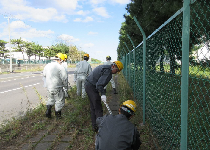 道路脇の草地のごみを拾う写真1