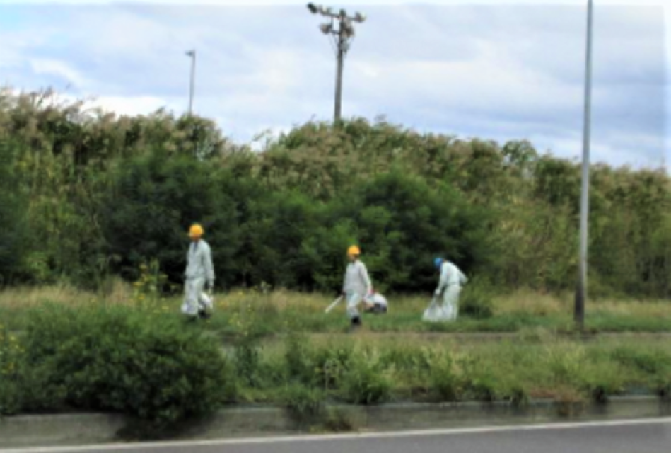 道路脇の草地のごみを拾う写真3
