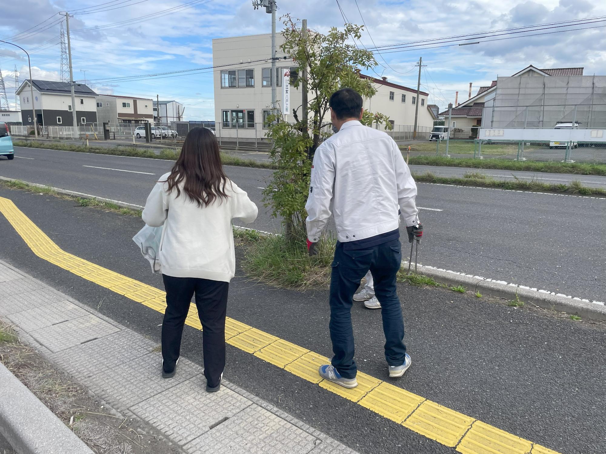 道路脇の草地のごみを拾う写真1