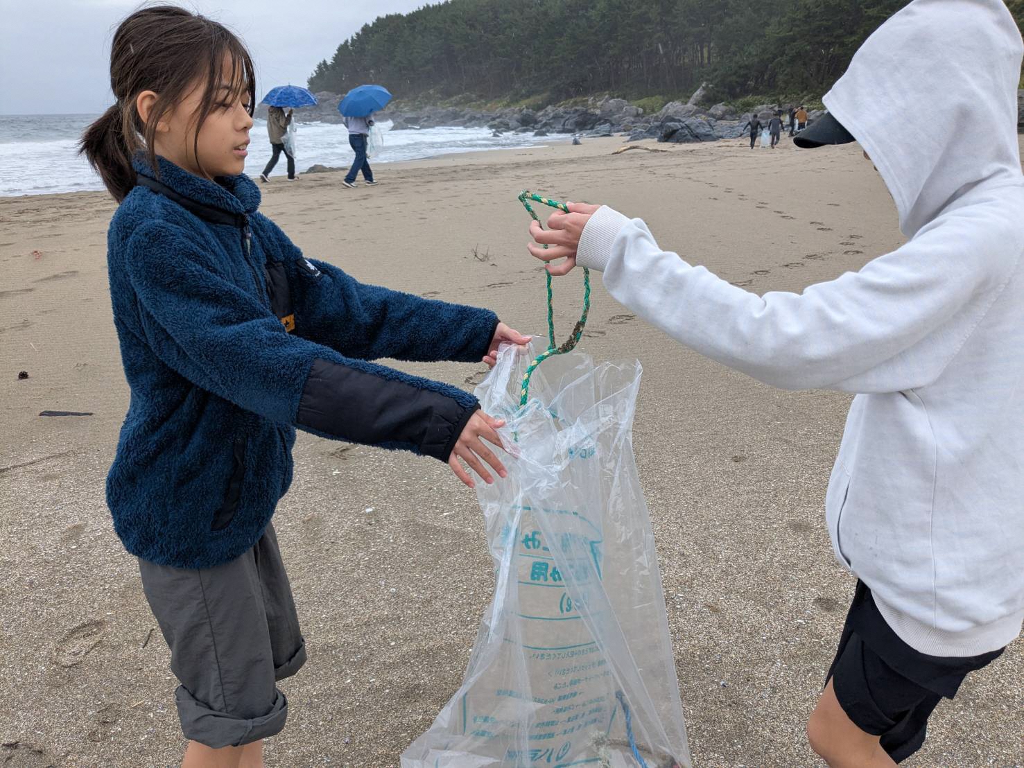 海岸のごみを拾う写真 2