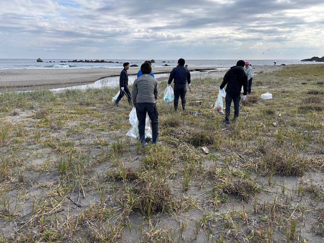 砂浜のごみを拾っている様子