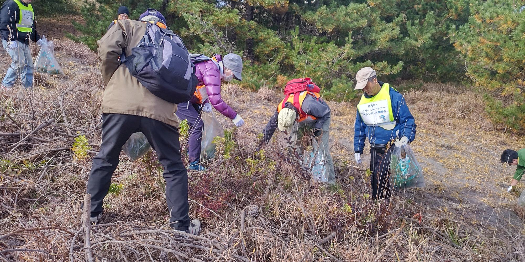 藪の中のごみを拾う様子