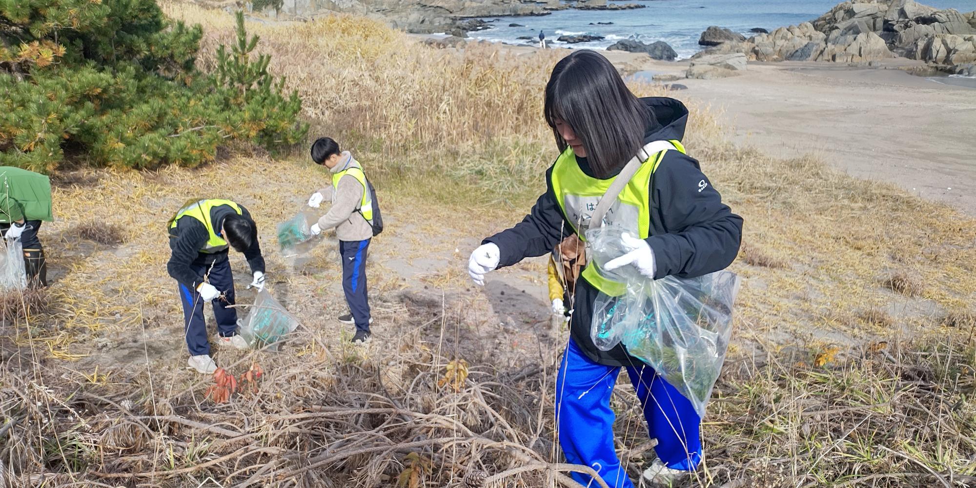 砂浜と藪の間のごみを拾う様子