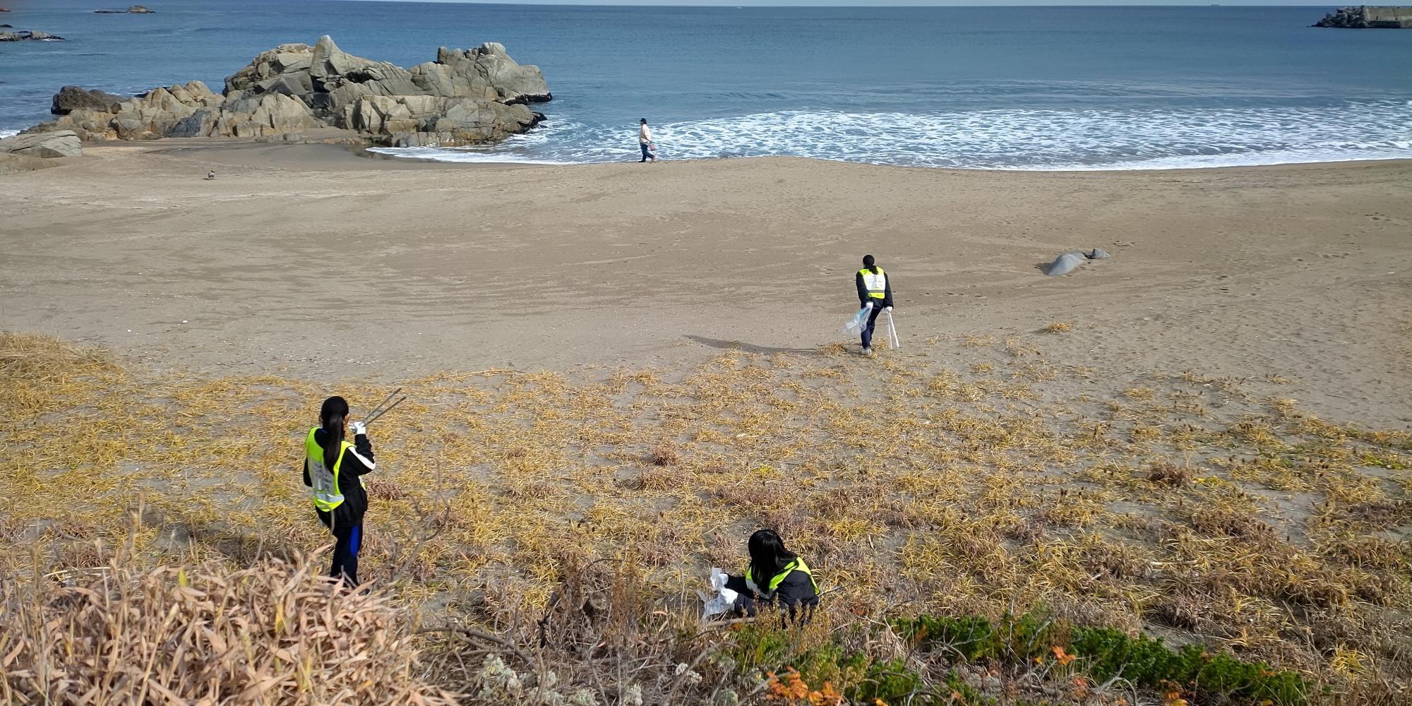 砂浜のごみを拾う様子