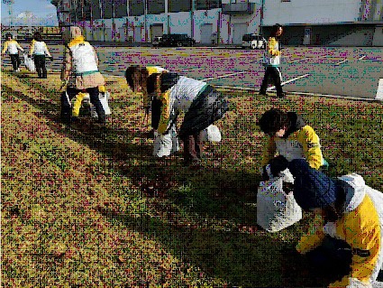 アリーナ周辺のごみを拾う写真1