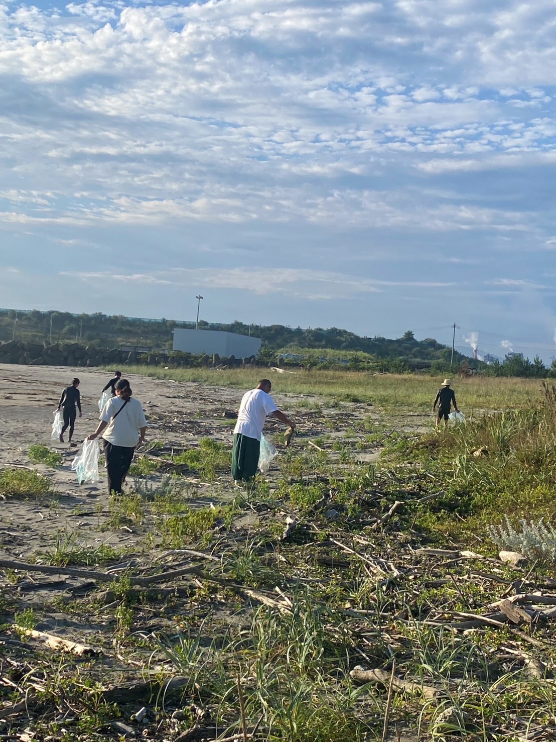 海岸のごみを拾う写真
