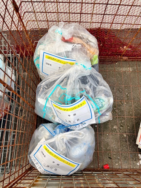 公園の拾ったごみ