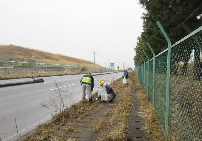 道路脇の草地のごみを拾う写真1
