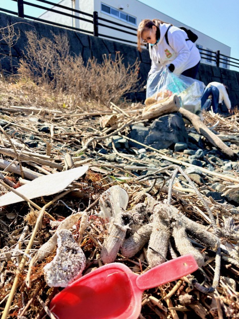 海岸のごみを拾う写真 2