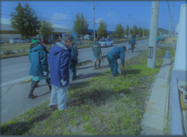 道路脇の草地のごみを拾う写真3