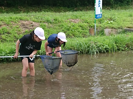 ため池での活動中、水中からたも網をすくい上げ、たも網に入った生き物を観察する2人の児童の写真