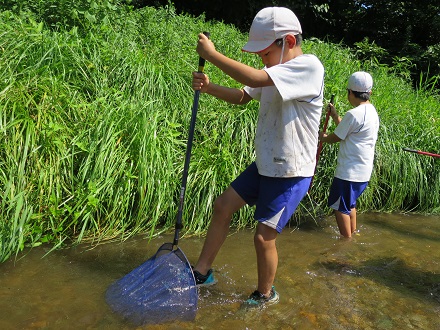 小川での活動中、児童がたも網を水中に広げ、網の手前の水を足でゆすり、川底の小石の下にいる生き物を捕まえている様子の写真