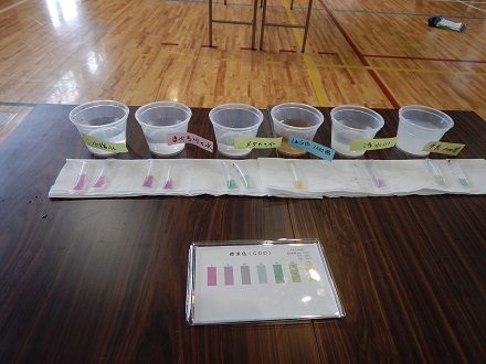 机の上に、実験で調べた水と、実験によってピンク、緑、黄色に変色した実験キットが置いてある様子の写真