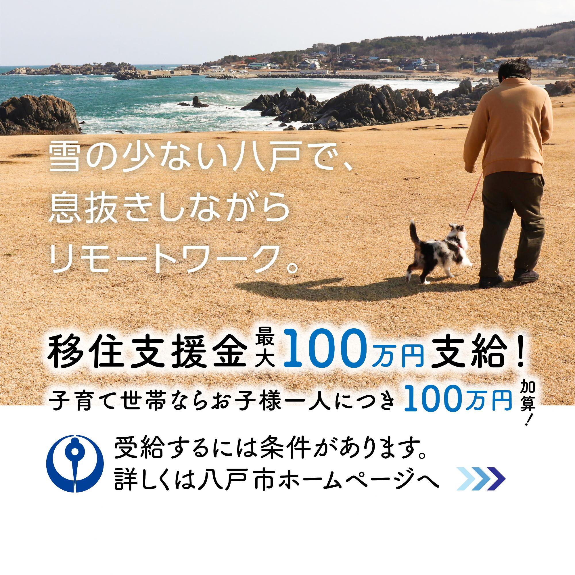 移住支援金PRバナー_雪の少ない八戸