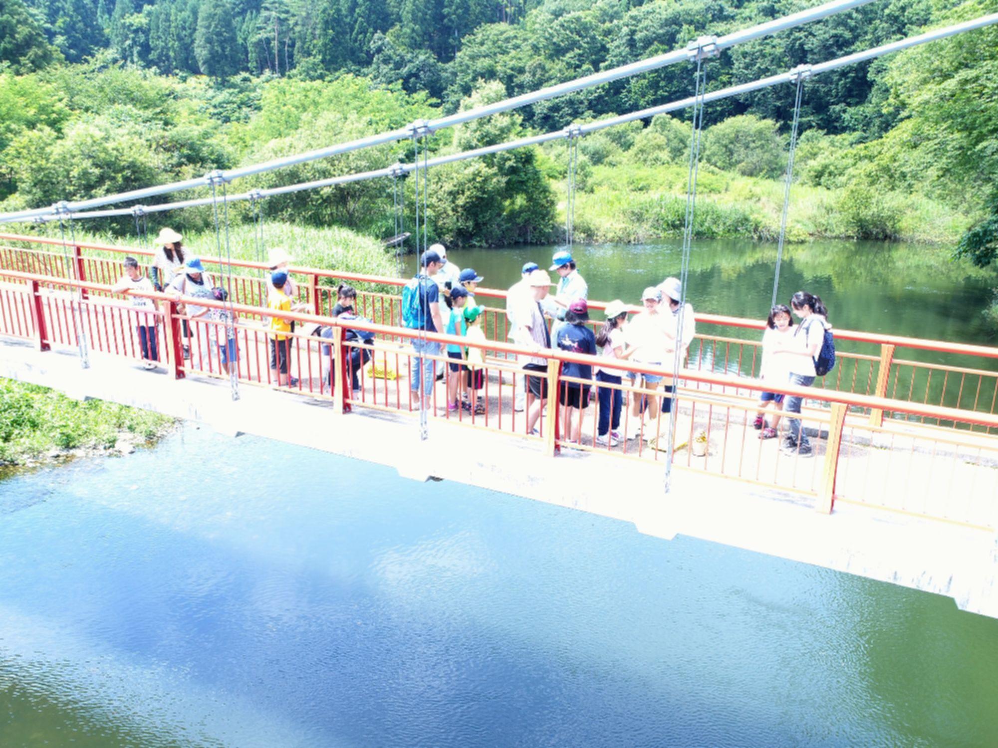 緑の木々の間を流れている川の上にかかった橋を渡っている参加者たちの様子の写真