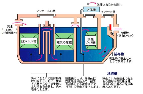 合併処理浄化槽の構造詳細は以下