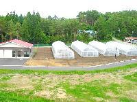 農作業小屋とビニールハウスの写真