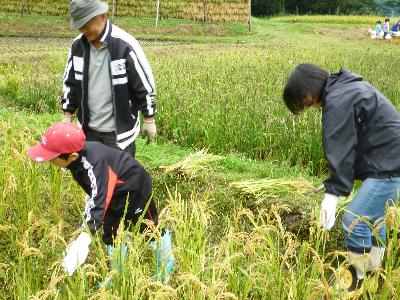 山の楽校もち米の楽校の画像