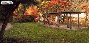 新井田川の目の前に設けられている、パーゴラと休憩スペースが備えられた草地広場の写真
