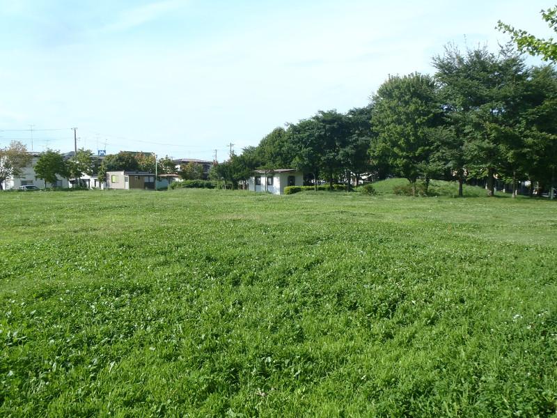 芝生の広がる公園全体の写真