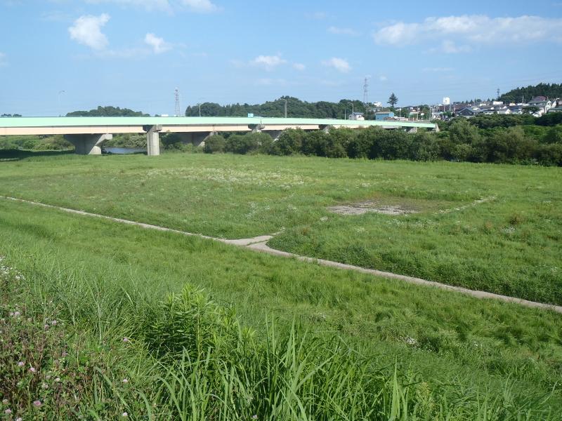 緑の草地が広がる第二馬淵川緑地の写真