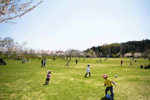 八戸公園の写真