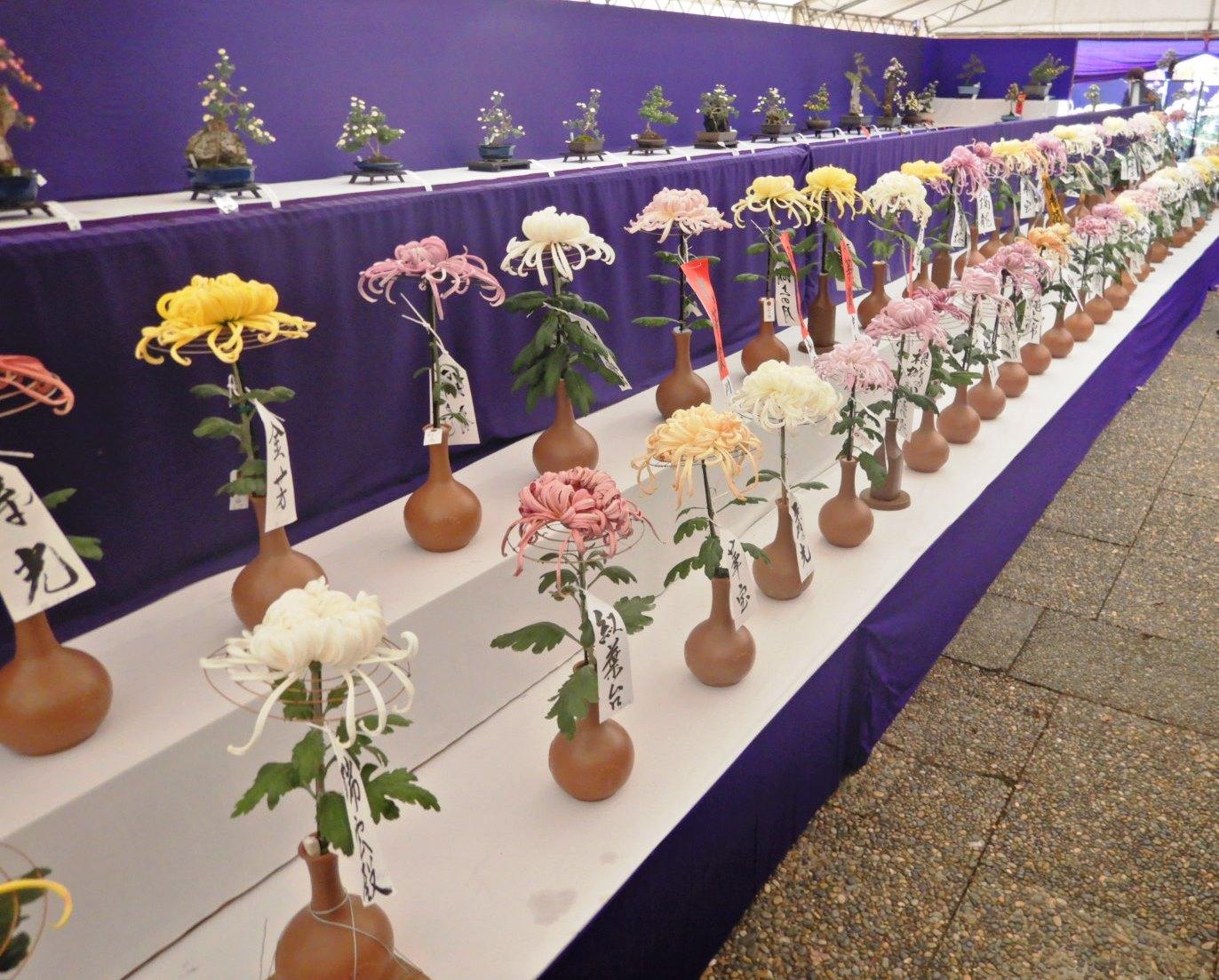 1輪ずつ花器にいけてずらりと展示されている色とりどりの切り花店の写真