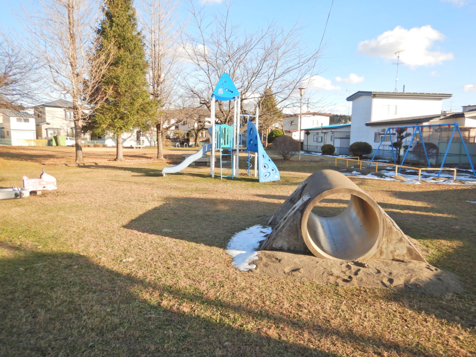 是川四丁目公園のコンビネーション遊具とヒューム管トンネルの写真