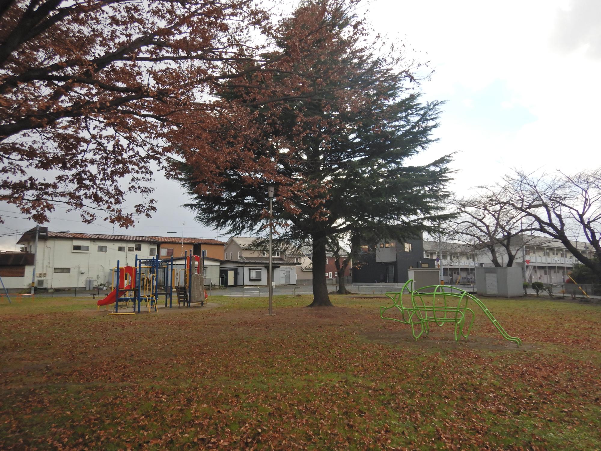 沼館1号公園全体の写真