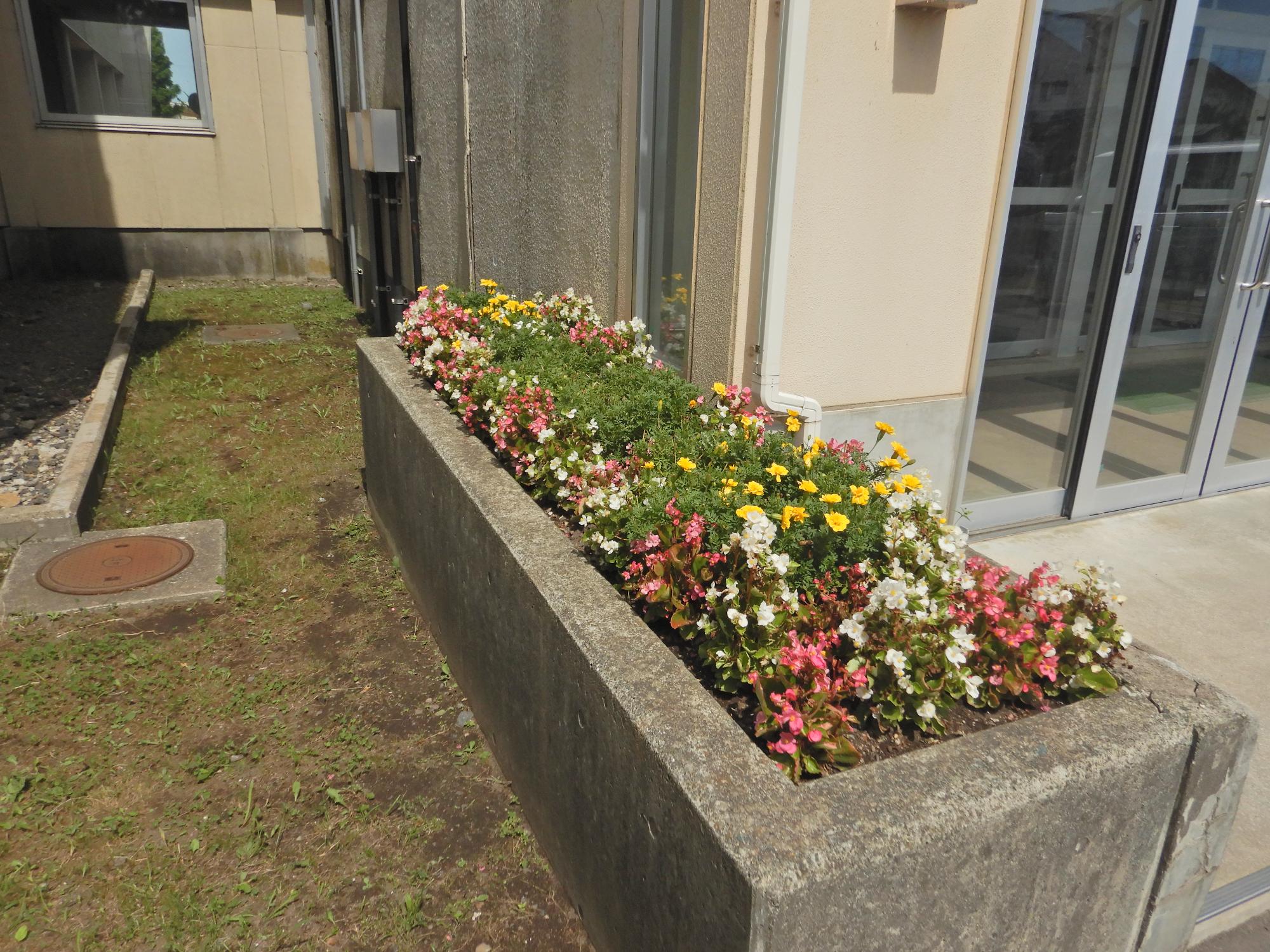 多賀小学校
