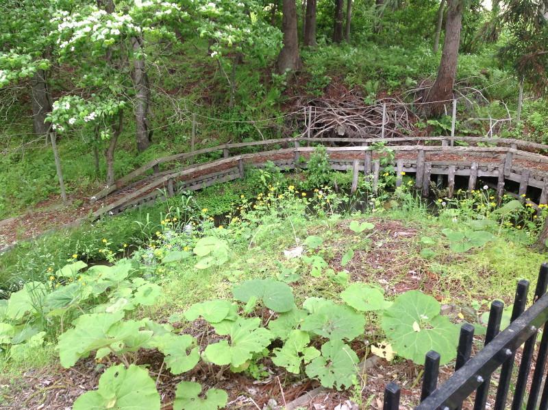 曲線の小道がある尻引公園の緑地帯の写真