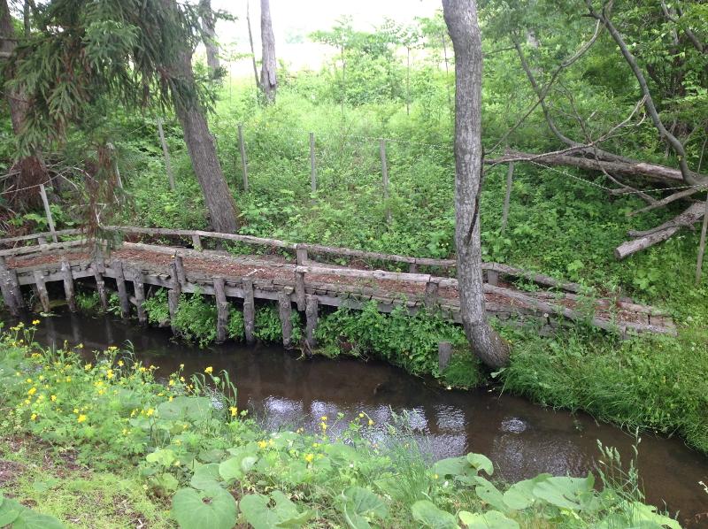 川に沿った通路のある尻引公園の緑地帯の写真