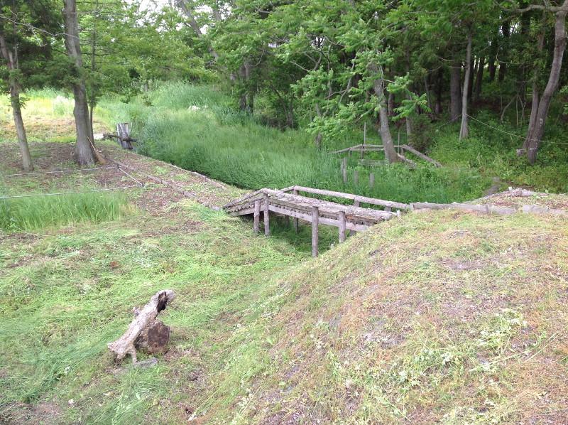 尻引公園の緑地帯の写真