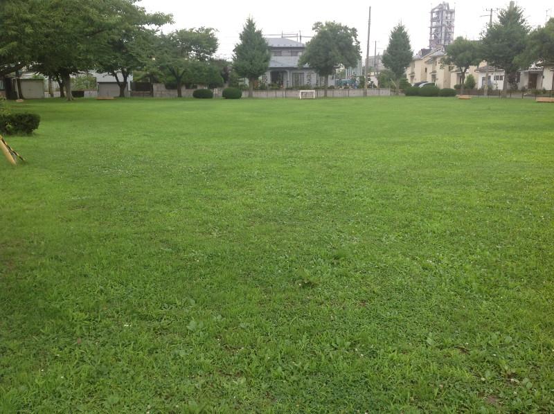 芝生の広がる諏訪二丁目公園 全体の写真