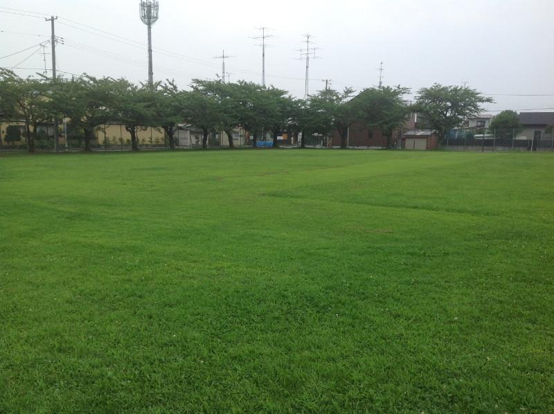 綺麗に整備された芝生の広がるちぐさ公園全体の写真