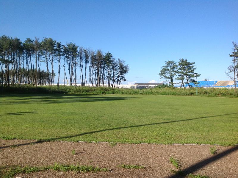 細長い木々が立ち並ぶ北地区海浜緑地の緑地全体の写真