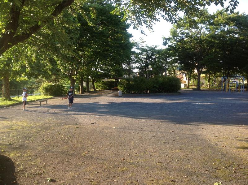 ベンチの置かれた松ヶ丘公園の公園全体の写真