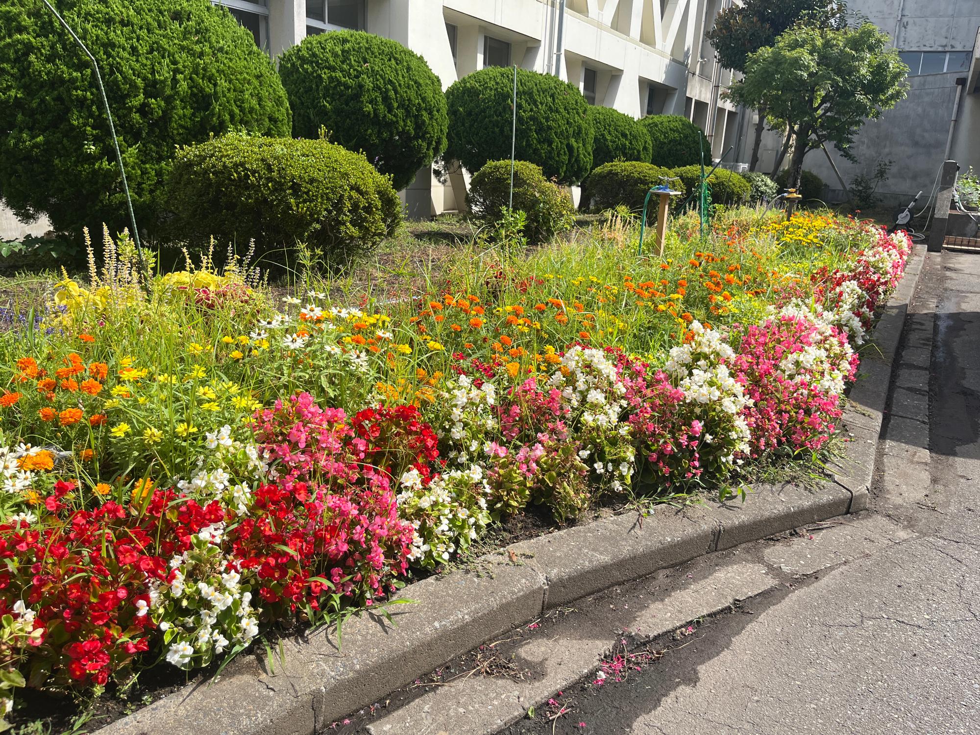 八戸小学校