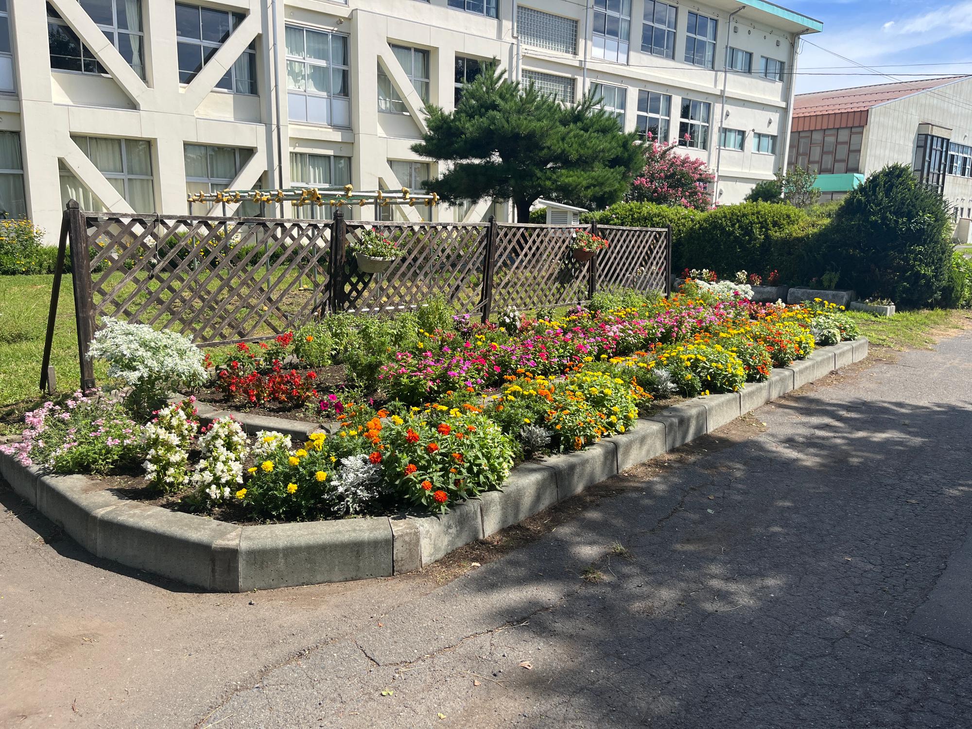 根城小学校