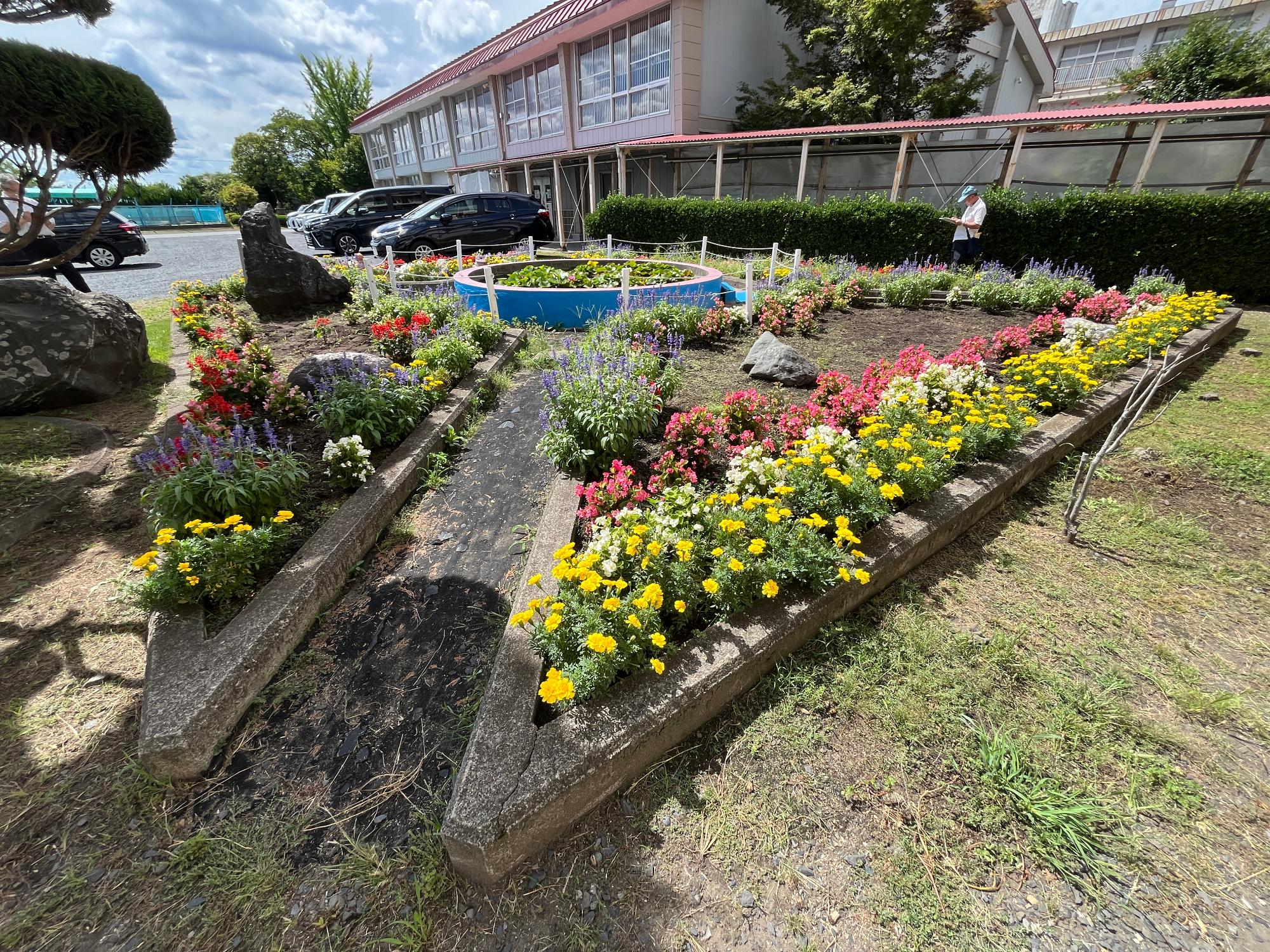 中居林小学校