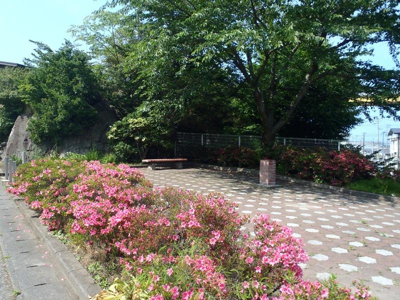 はますか公園内のツツジの花壇の写真