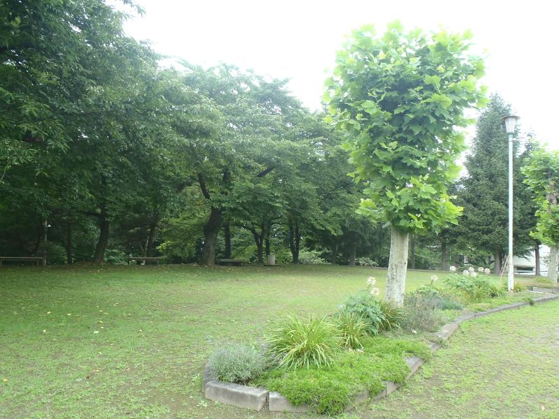 是川二丁目公園の緑地隊の写真