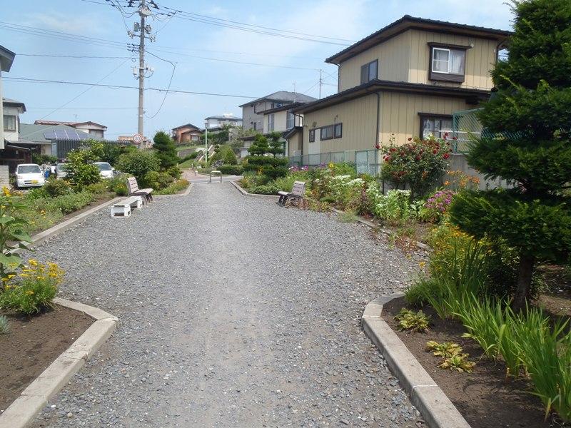 湊緑地の花壇とベンチの写真