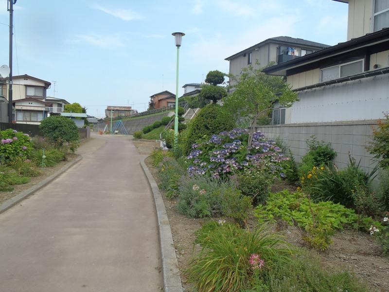 歩道の両側に花が咲く湊赤坂1号公園 右側の全体写真