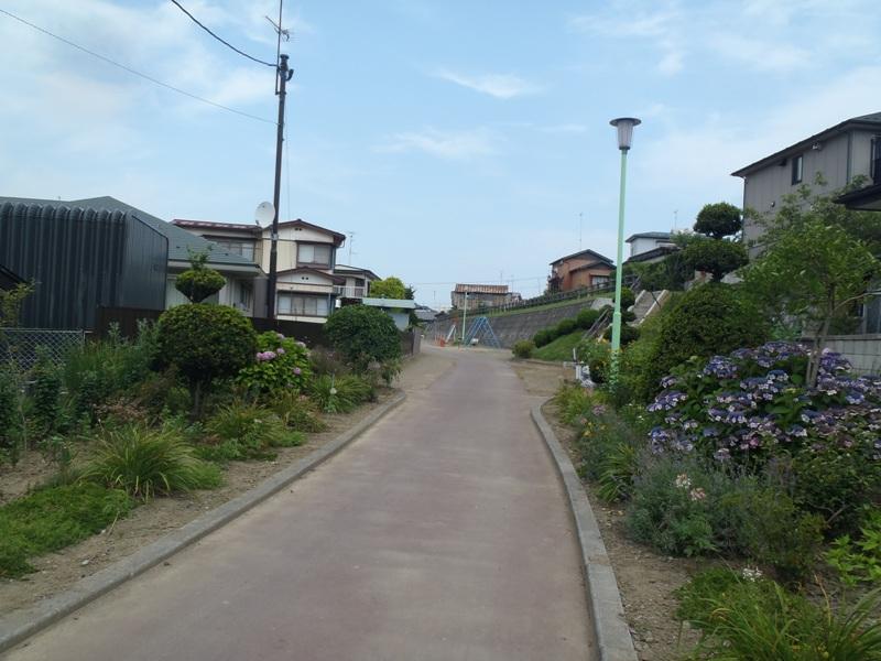 歩道の両側に花が咲く湊赤坂1号公園 全体写真