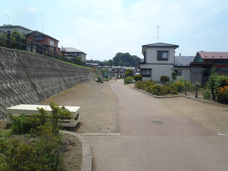 湊緑地の全景写真